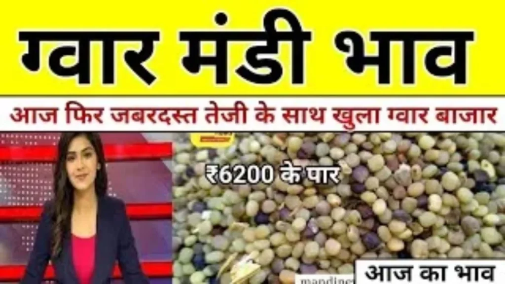 Guar Mandi Taza Bhav Today